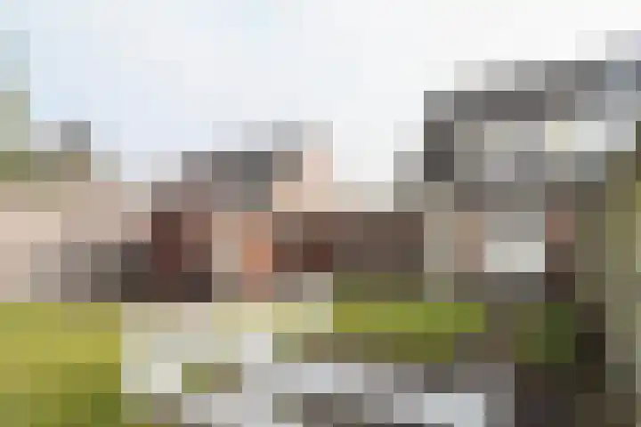 Reidikker 28 Ryptsjerk thumbnail 55