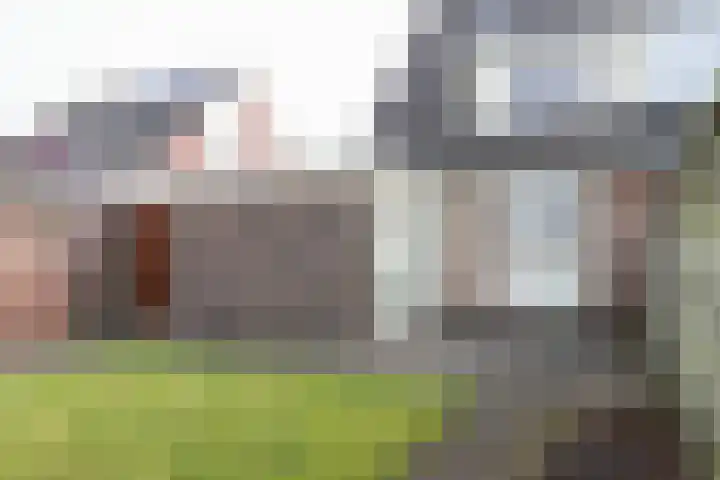 Reidikker 28 Ryptsjerk thumbnail 56