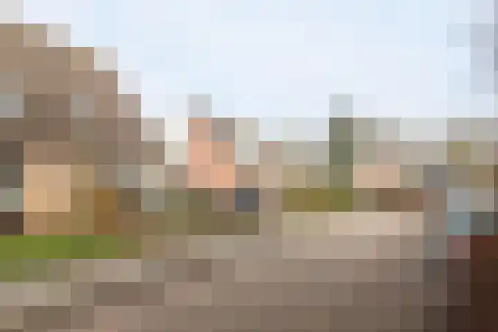 Reidikker 28 Ryptsjerk thumbnail 57