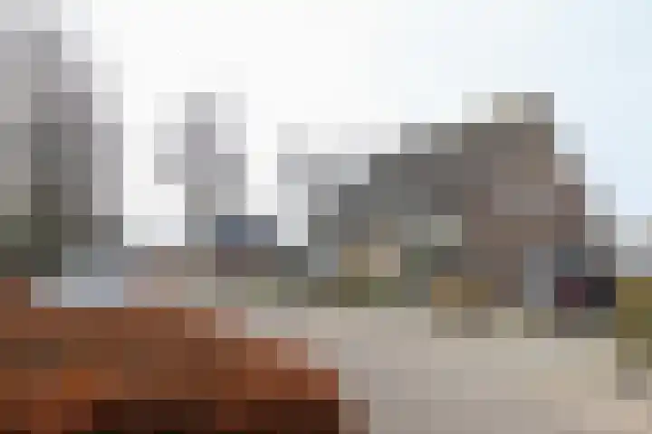 Reidikker 28 Ryptsjerk thumbnail 58
