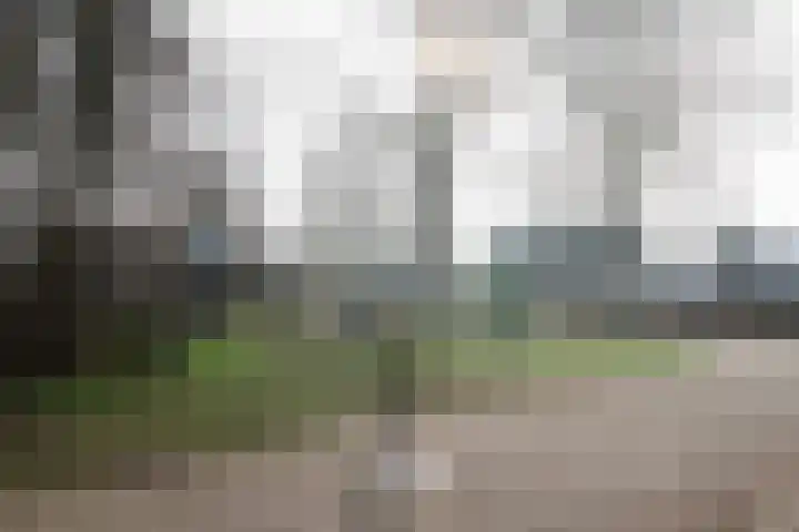Reidikker 28 Ryptsjerk thumbnail 59