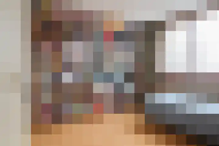 Reidikker 28 Ryptsjerk thumbnail 6