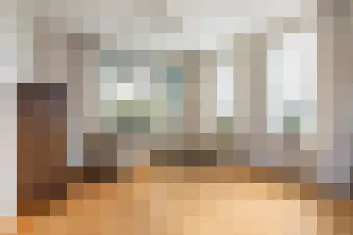 Reidikker 44 Ryptsjerk thumbnail 14