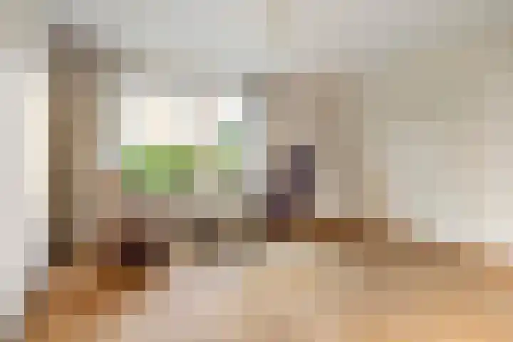 Reidikker 44 Ryptsjerk thumbnail 16