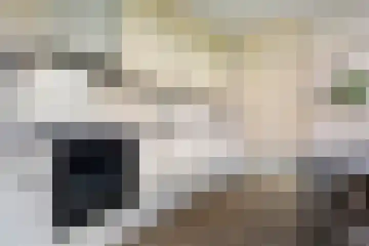 Reidikker 44 Ryptsjerk thumbnail 18