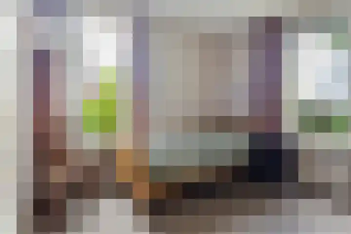 Reidikker 44 Ryptsjerk thumbnail 24
