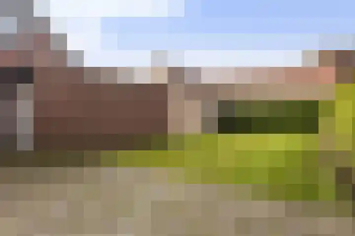 Reidikker 44 Ryptsjerk thumbnail 28