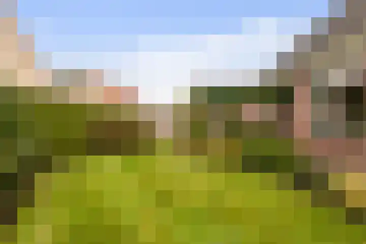 Reidikker 44 Ryptsjerk thumbnail 29