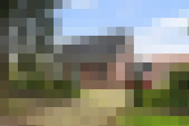 Reidikker 44 Ryptsjerk foto 3