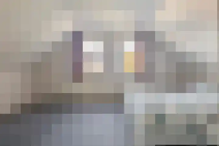 Reidikker 44 Ryptsjerk thumbnail 36