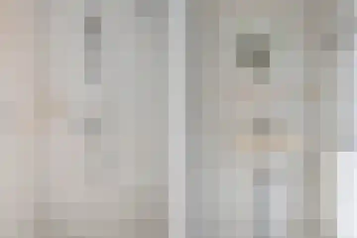 Reidikker 44 Ryptsjerk thumbnail 39