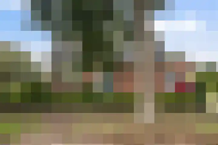 Reidikker 44 Ryptsjerk thumbnail 4