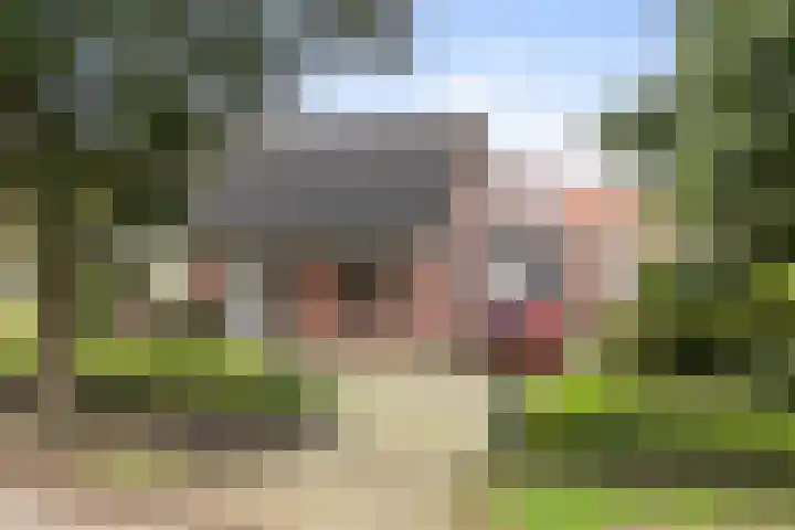 Reidikker 44 Ryptsjerk thumbnail 42