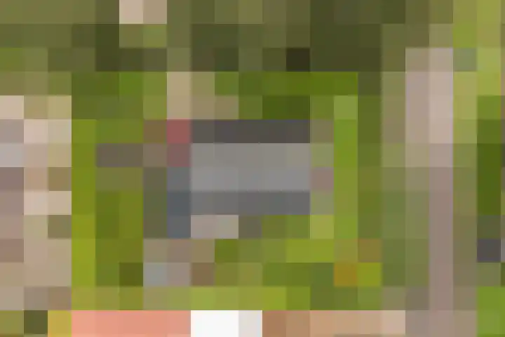 Reidikker 44 Ryptsjerk thumbnail 46