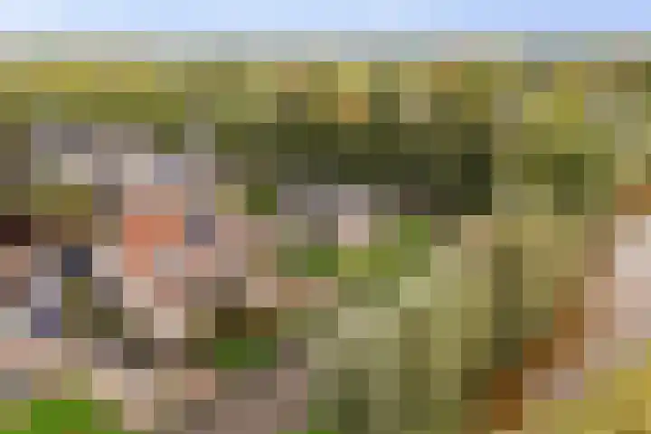 Reidikker 44 Ryptsjerk thumbnail 47