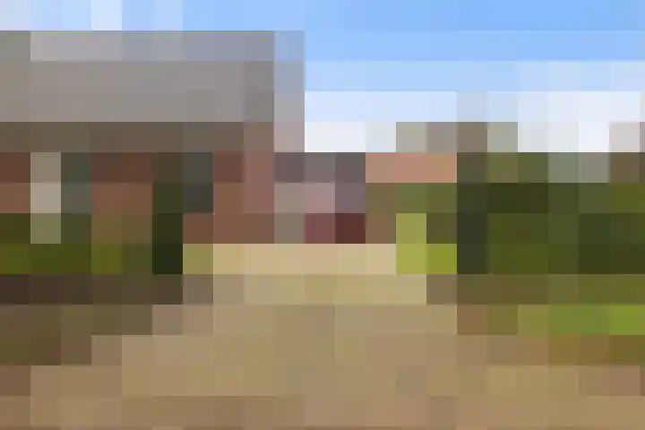 Reidikker 44 Ryptsjerk thumbnail 5