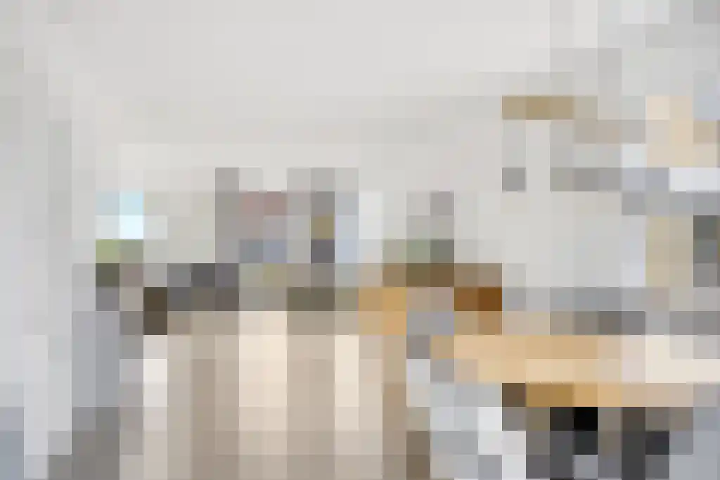 Reidikkers 13 Workum thumbnail 11