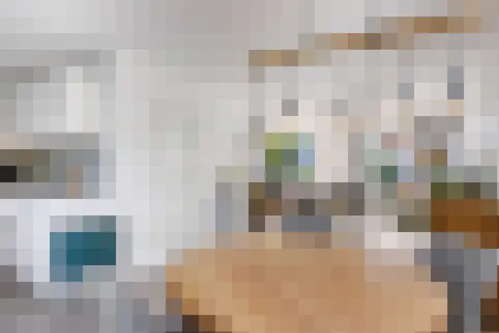 Reidikkers 13 Workum thumbnail 12