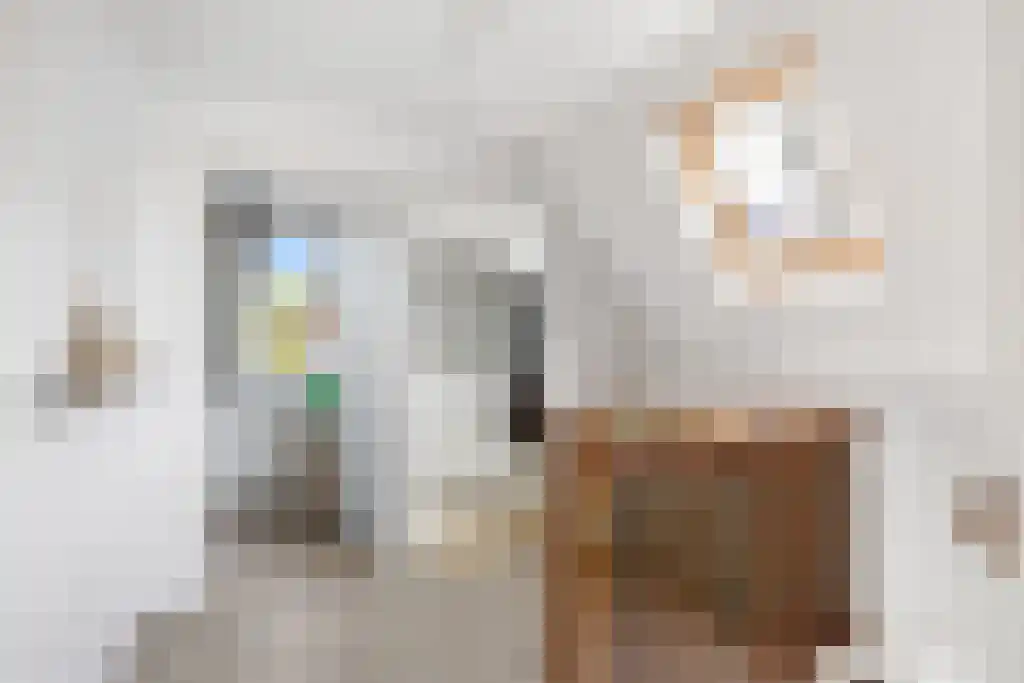 Reidikkers 13 Workum thumbnail 20