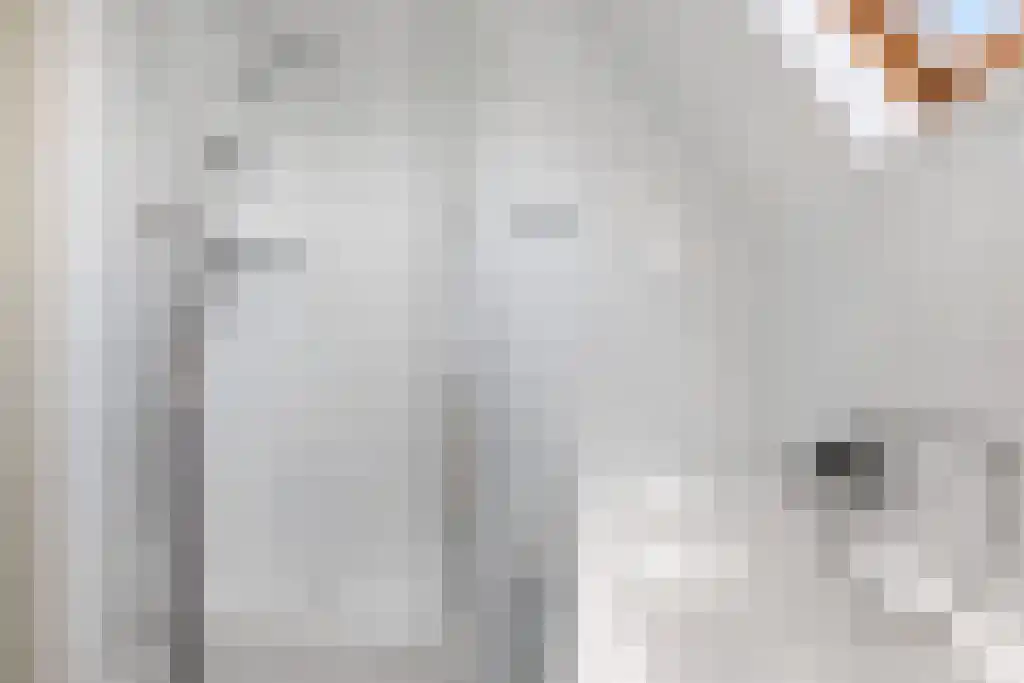 Reidikkers 13 Workum thumbnail 28
