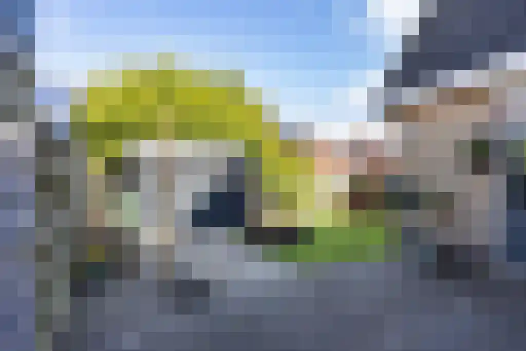 Reidikkers 13 Workum thumbnail 36