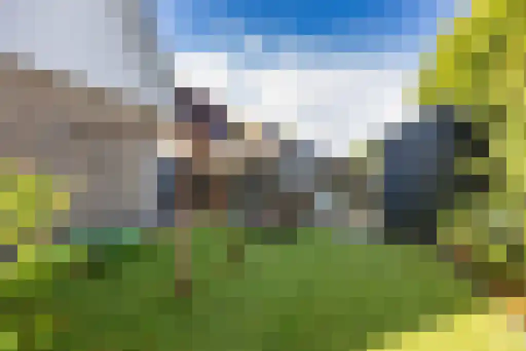 Reidikkers 13 Workum thumbnail 38