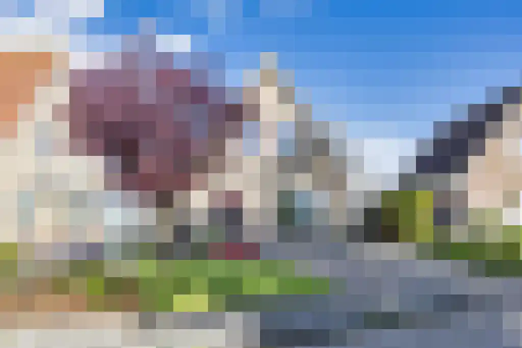 Reidikkers 13 Workum thumbnail 41
