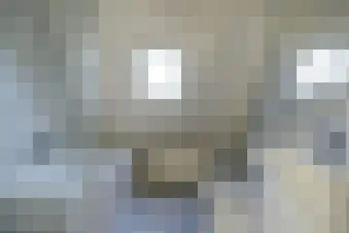 Reidikkers 2 Workum thumbnail 28