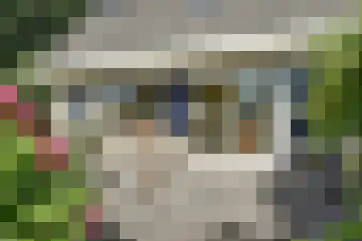 Reidikkers 2 Workum thumbnail 31