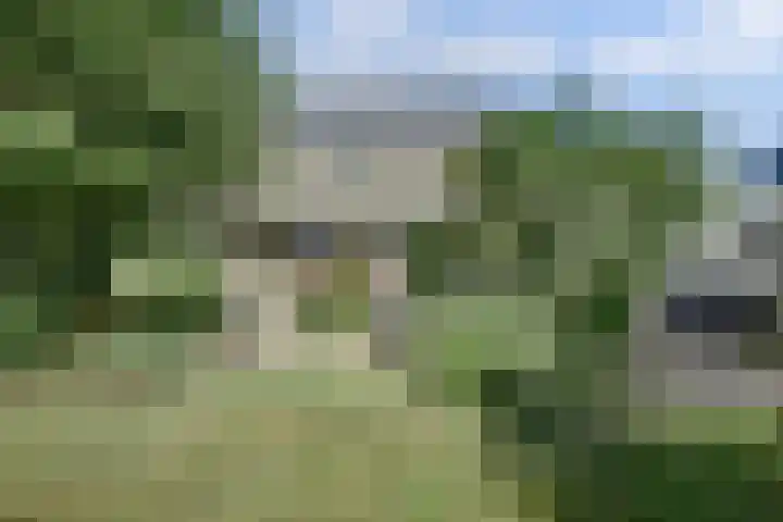 Reidikkers 2 Workum thumbnail 32