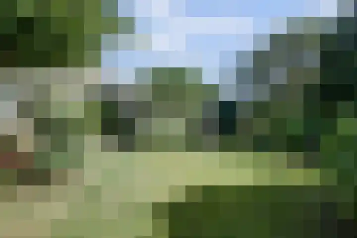 Reidikkers 2 Workum thumbnail 33