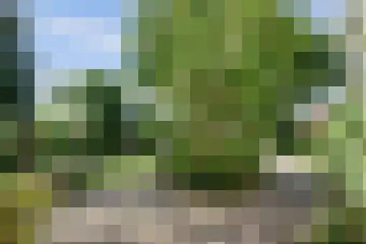 Reidikkers 2 Workum thumbnail 34