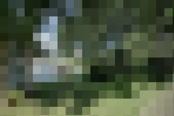 Reidikkers 2 Workum thumbnail 35