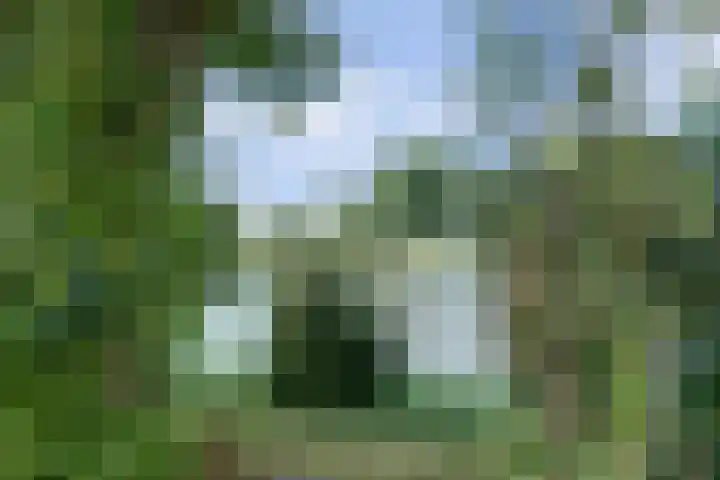 Reidikkers 2 Workum thumbnail 36