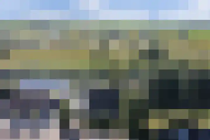Reidikkers 2 Workum thumbnail 37