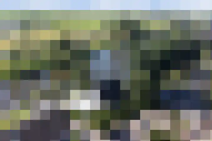 Reidikkers 2 Workum thumbnail 39