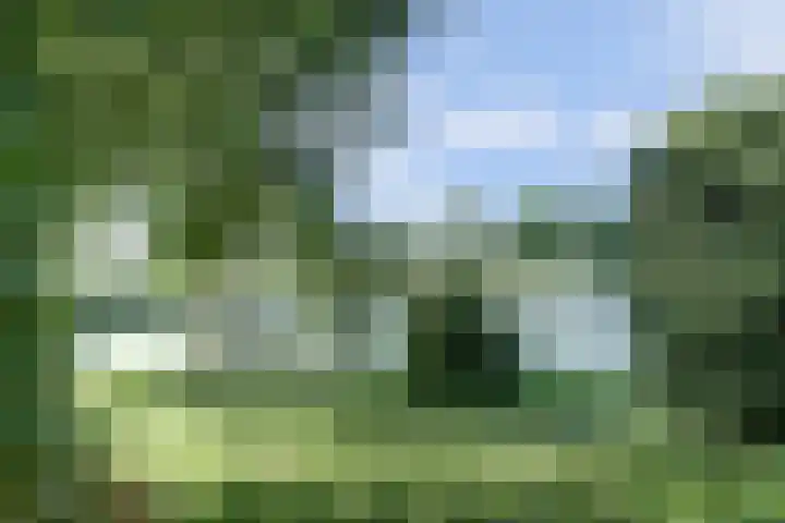 Reidikkers 2 Workum thumbnail 4