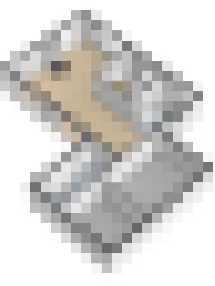 Reidikkers 2 Workum thumbnail 42