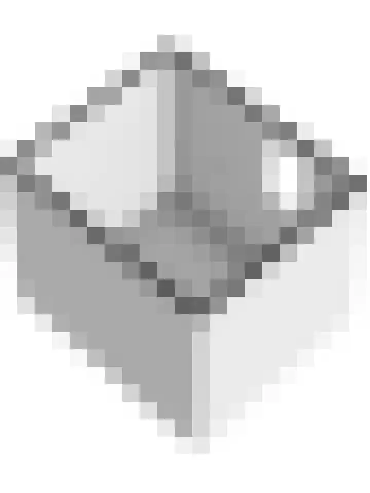 Reidikkers 2 Workum thumbnail 48
