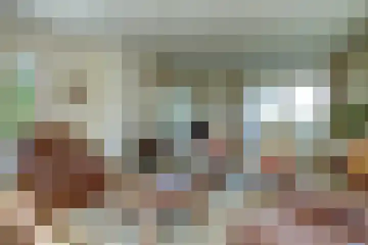 Reidikkers 2 Workum thumbnail 7