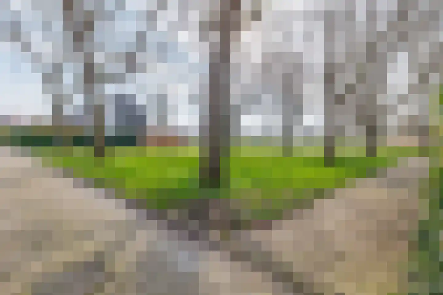 Reidingweg 17 Drachten thumbnail 43
