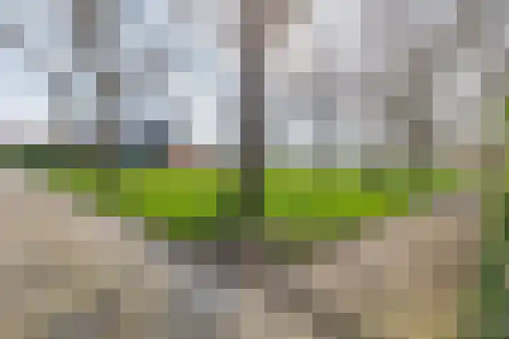 Reidingweg 17 Drachten thumbnail 43