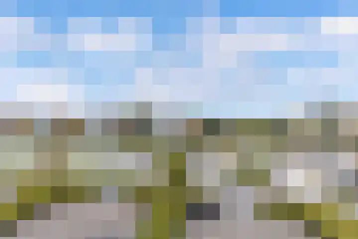 Reidingweg 20 Drachten thumbnail 14