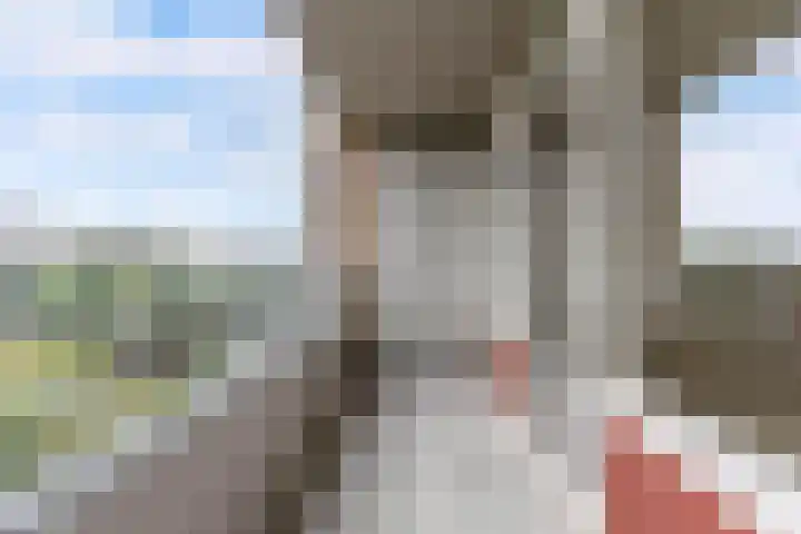 Reidingweg 20 Drachten thumbnail 28
