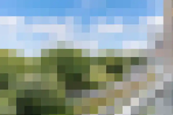Reidingweg 20 Drachten thumbnail 30