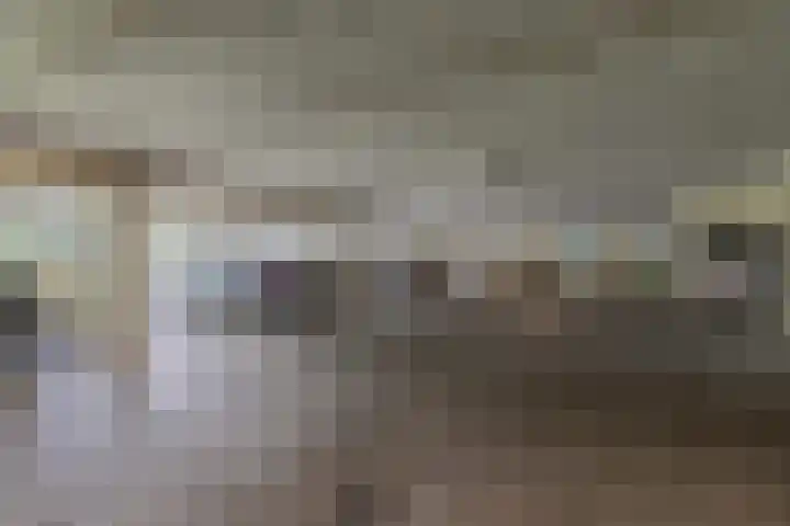 Reidingweg 20 Drachten thumbnail 33