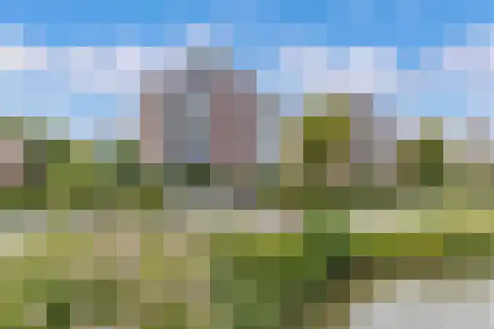 Reidingweg 20 Drachten thumbnail 39