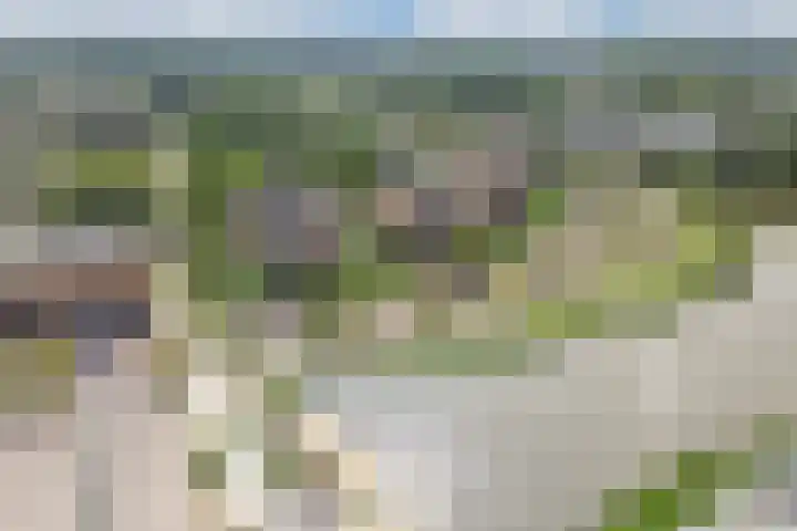 Reidingweg 20 Drachten thumbnail 4
