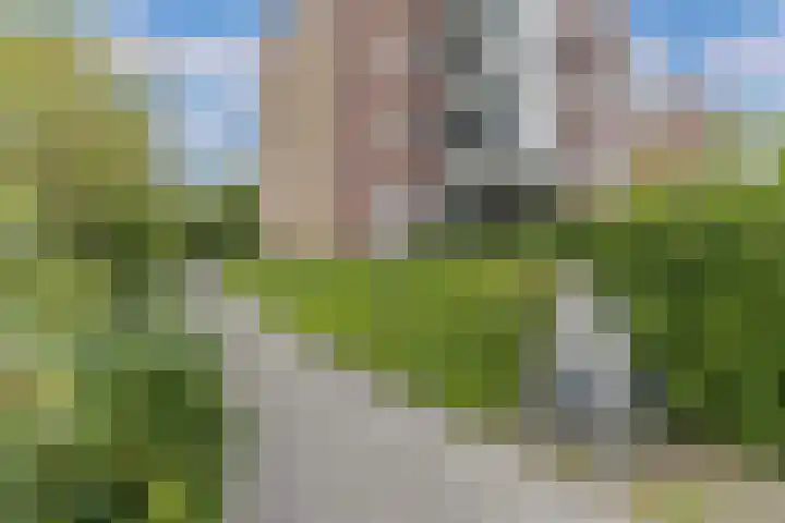 Reidingweg 20 Drachten thumbnail 42