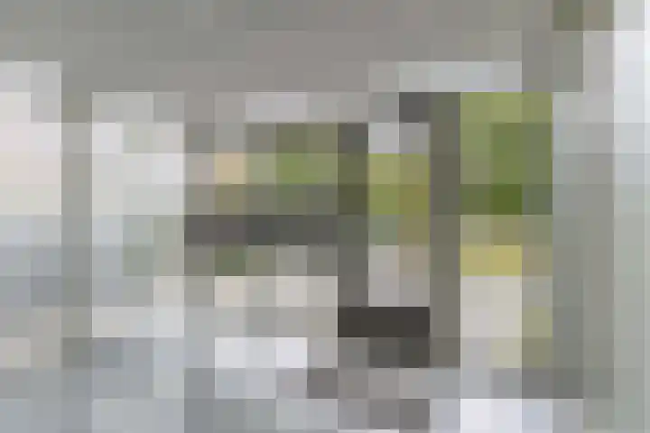 Reidingweg 20 Drachten thumbnail 6